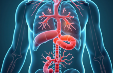 Power Surge: How Mitochondrial Transplantation Could Revolutionize Medicine